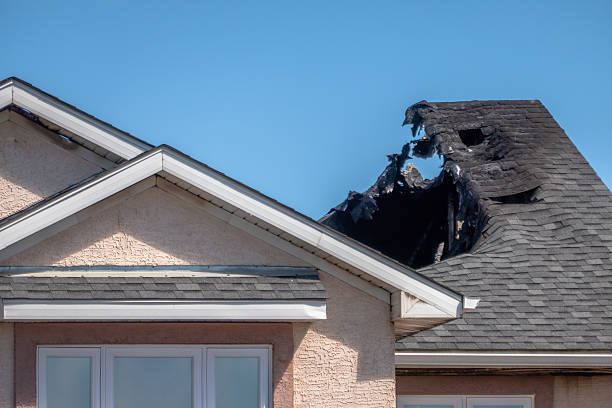 Top rated local Fire Damage Removal specialists in Virginia, VA